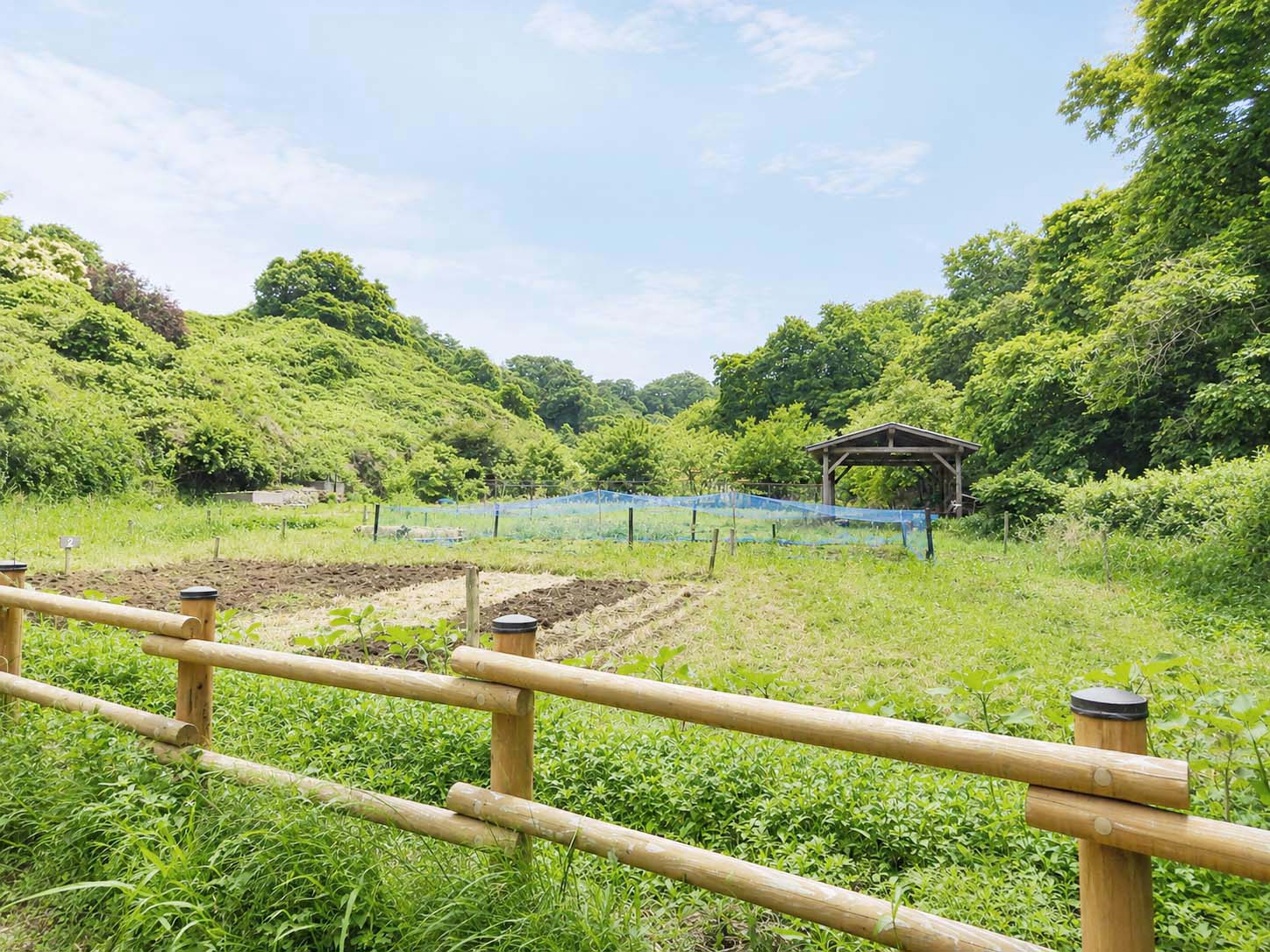 ◎舞岡公園