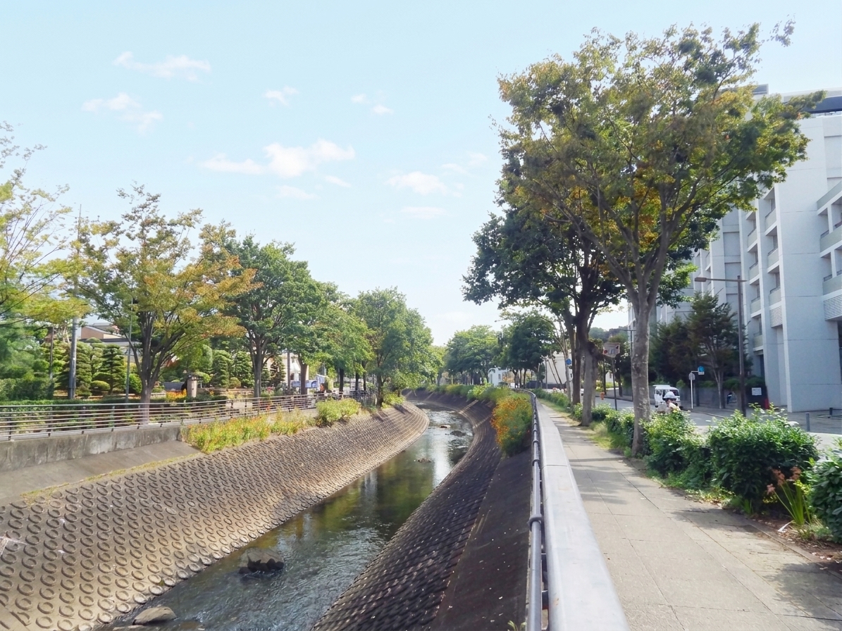 和泉井川沿いの遊歩道