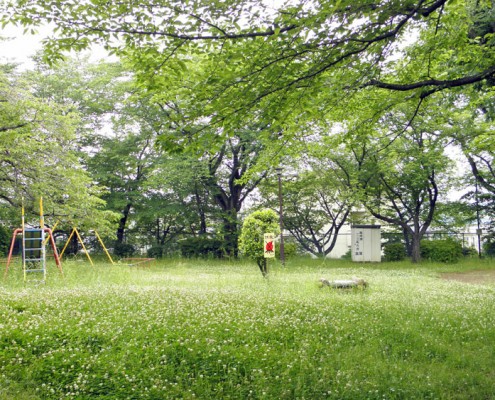 町田 成瀬 城山公園 城山城趾