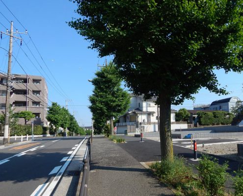 ラシット横浜 洋光台 全7棟 接道する16mの公道と街路樹のある、ゆとりある歩道
