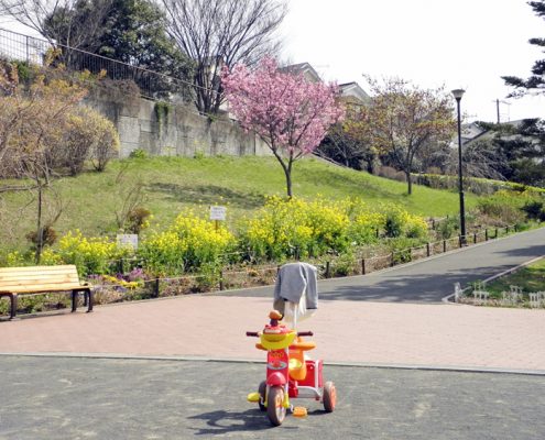 横浜市 港南区 花壇にきれいな花々がいっぱいの芹が谷第一公園