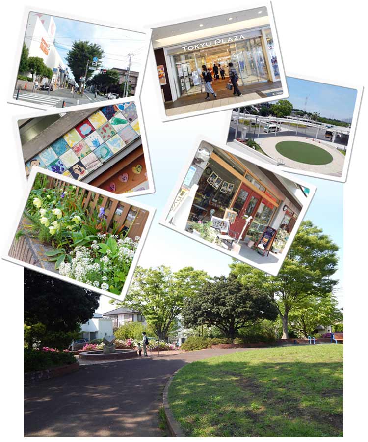白百合の暮らしイメージ 横浜建物