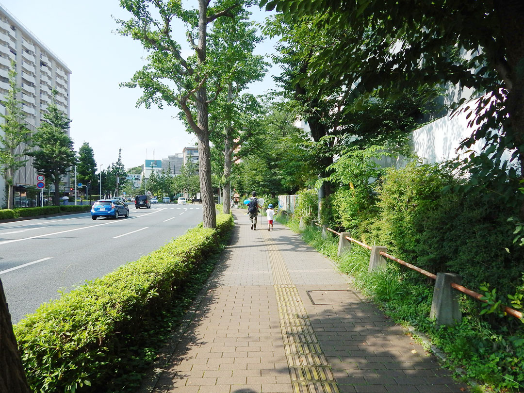 本郷台駅への広い歩道 横浜建物