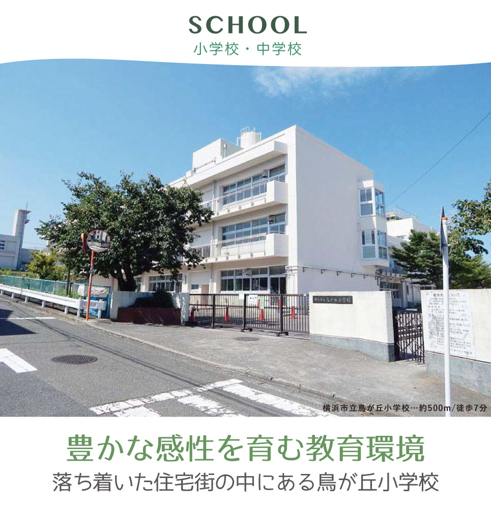 鳥が丘小学校 領家中学校 横浜建物