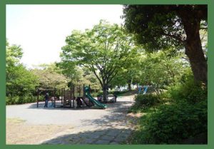 緑あふれる西が丘公園 YOKOTATE