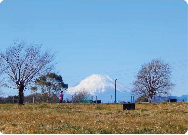 深谷通信公園周辺から見た富士山