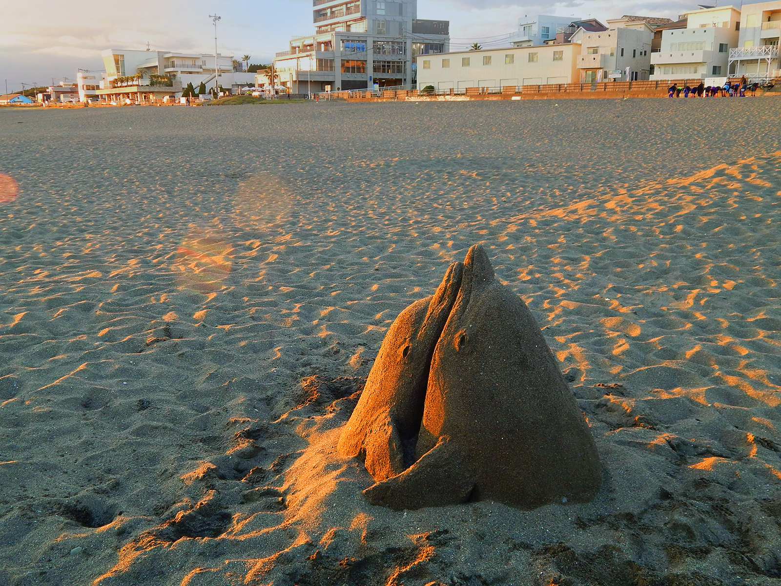 サザンビーチの砂イルカ