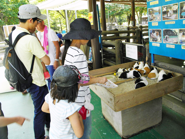 こども自然公園 ちびっこ動物園