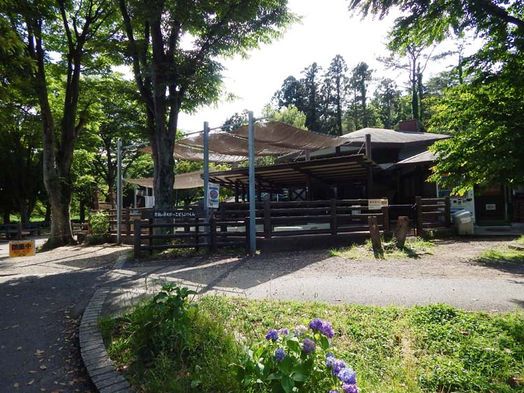 こども自然公園 ちびっこ動物園