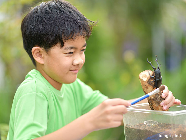 生き物観察