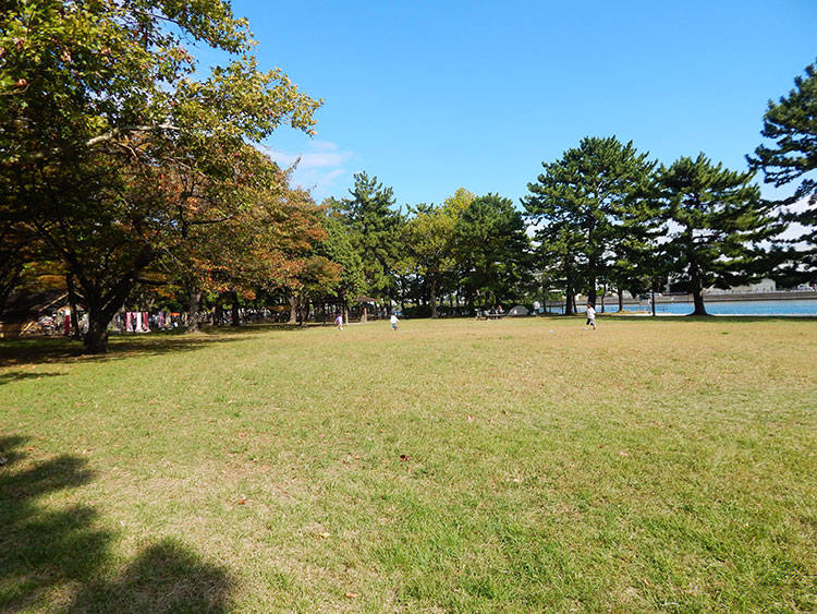 野島公園の原っぱで走り回る子供たち