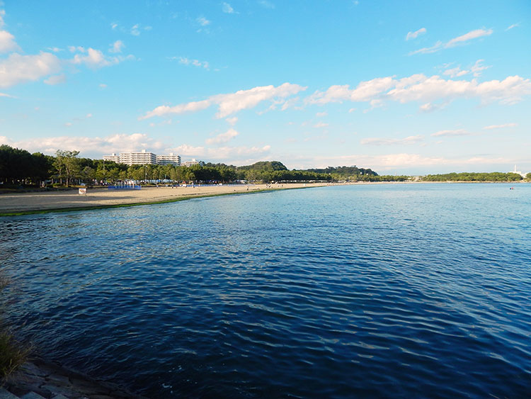横浜で唯一の海水浴場、海の公園