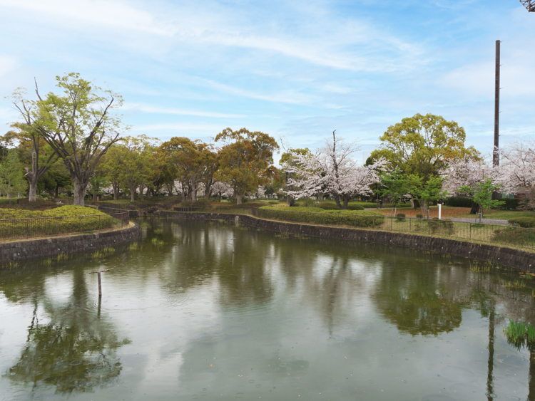 横浜薬大スタジアム・俣野公園