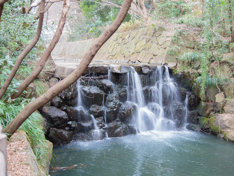 まさかりが淵市民の森