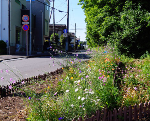 現地近くの住宅街の花壇