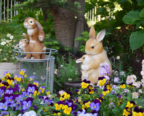 シャローム三育保育園の花壇