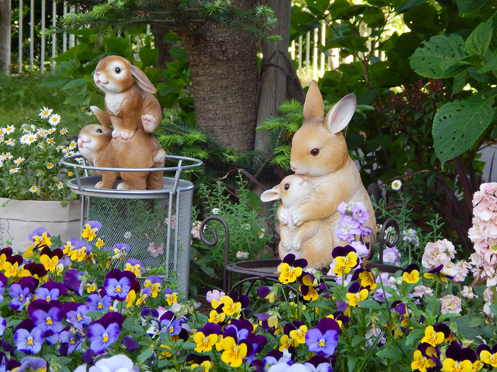 シャローム三育保育園の花壇