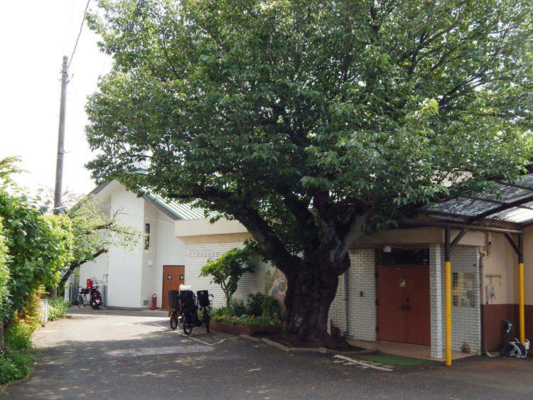 横浜二ツ橋あいりん幼稚園