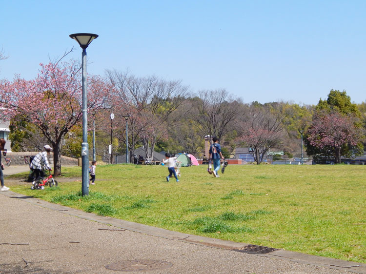 奈良山公園