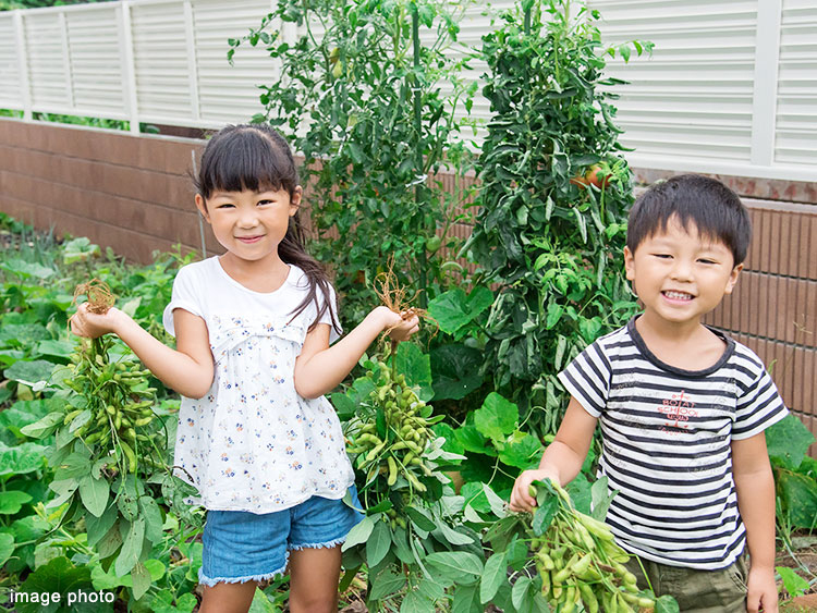 子どもと楽しむ家庭菜園