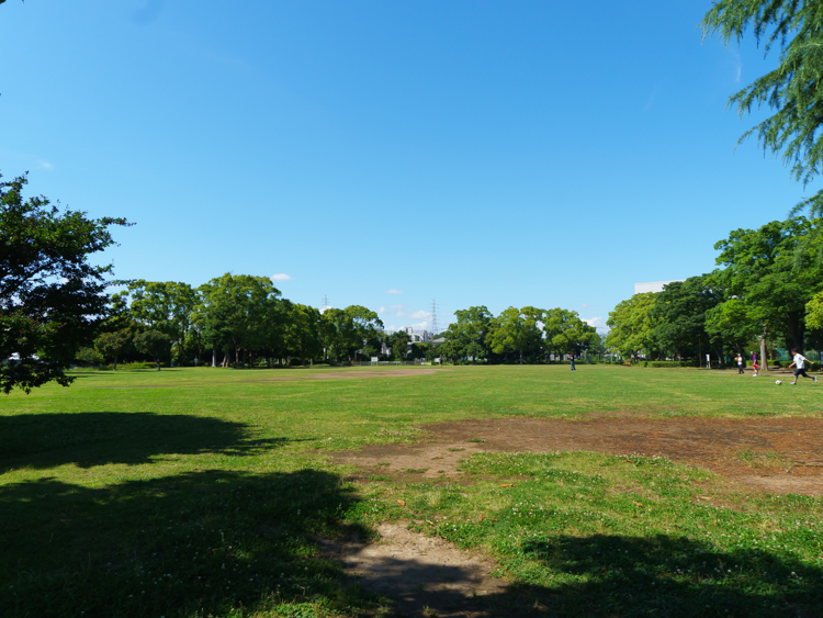 金井公園…約1200m/徒歩15分