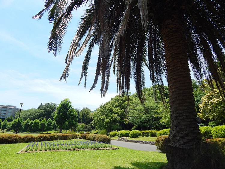 久良岐公園