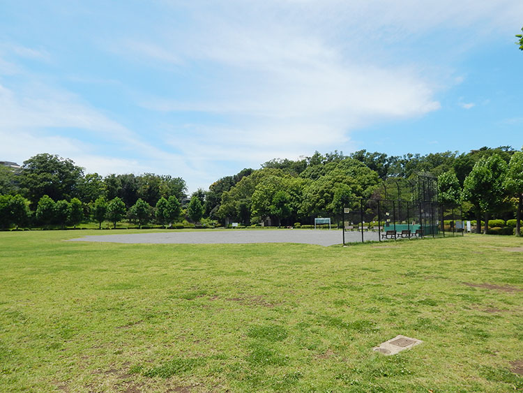 久良岐公園 野球場 原っぱ