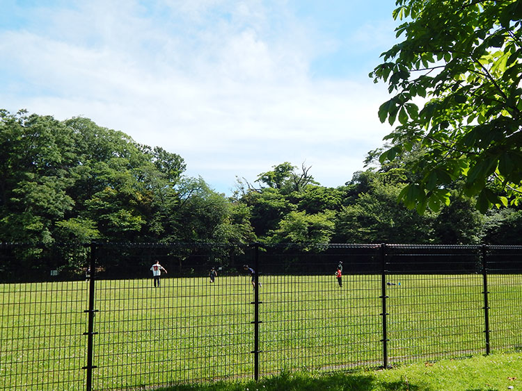 富岡総合公園 多目的広場