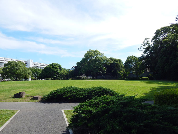 富岡総合公園 原っぱ