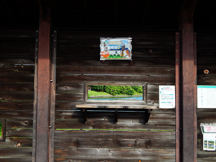 長浜公園 野鳥観察小屋