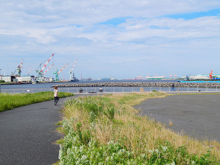 杉田臨海緑地