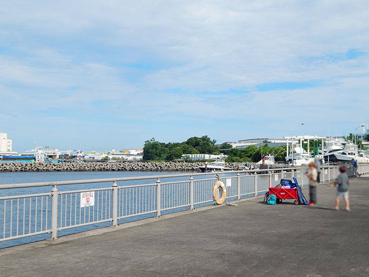 杉田臨海緑地