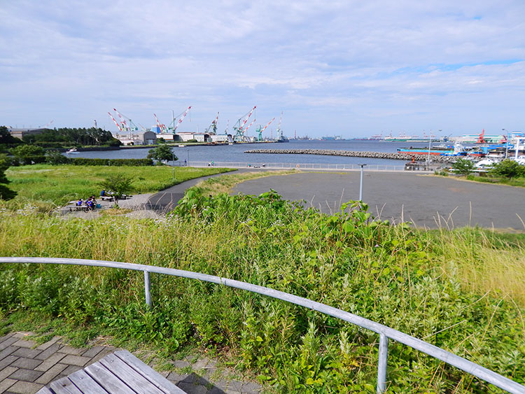 杉田臨海緑地