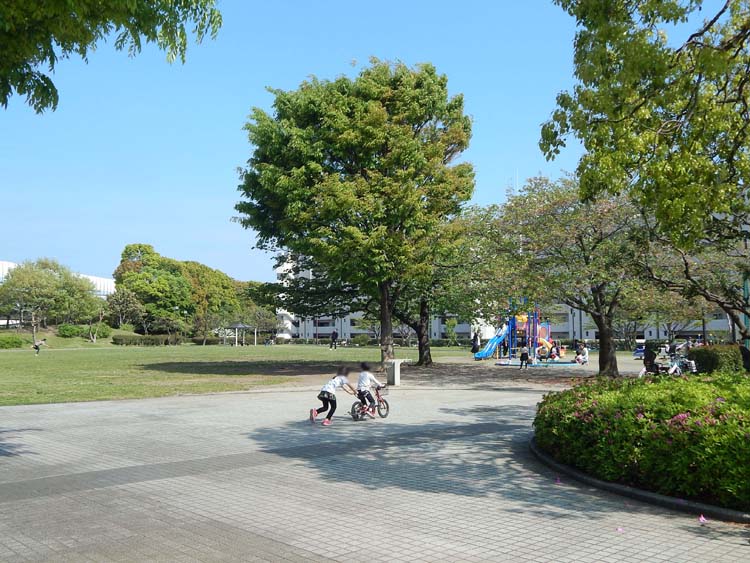 新杉田公園