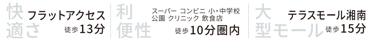 最寄り駅までフラットアクセス　スーパー コンビニ 小・中学校公園 クリニック 飲食店が徒歩10分圏内　テラスモール湘南まで徒歩15分