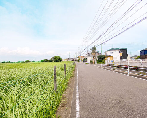 緑豊かな通信隊グラウンド沿いのまっすぐに伸びる道路