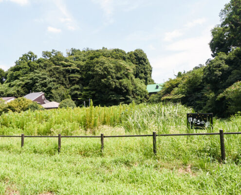 まさかりが淵市民の森の「ほたるの里」