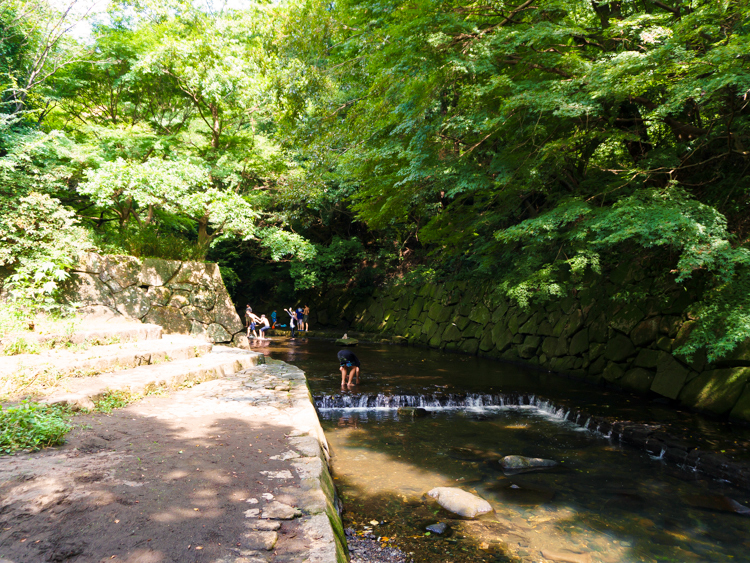 まさかりが淵市民の森 川遊び