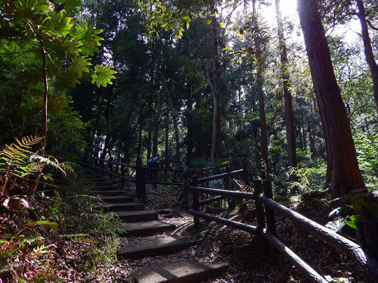 陣ケ下渓谷公園…約950m/徒歩12分