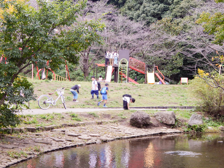 谷矢部池公園/徒歩9分