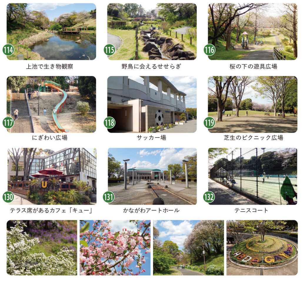 緑豊かな保土ヶ谷公園の施設の一部。池やせせらぎ、遊具広場、サッカー場、カフェ、テニスコート、かながわアートホールなどがある。