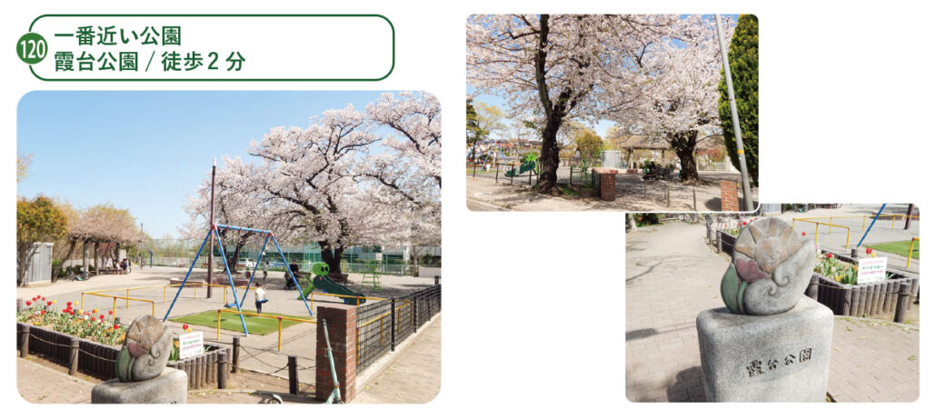 霞台分譲地に一番近い公園 霞台公園。3本の大きな桜の木と花壇、藤棚、ブランコ、滑り台、お砂場、鉄棒、ベンチがある。
