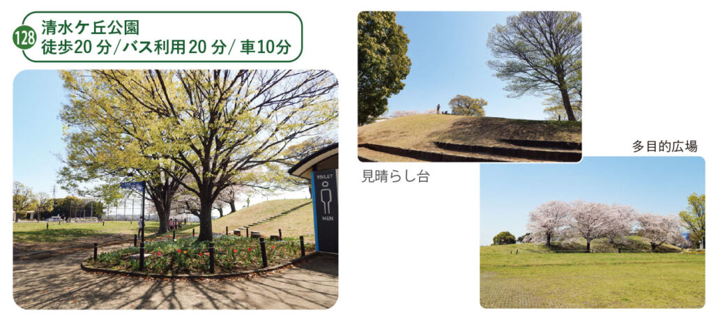 見晴らしの良い丘の上の運動公園「清水ケ丘公園」大きな木、花壇、桜、原っぱ、見晴らし台がある。