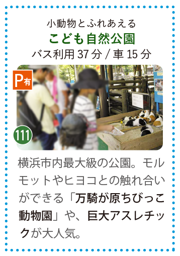 こども自然公園の万騎が原ちびっこ動物園でモルモットと触れ合う家族連れ