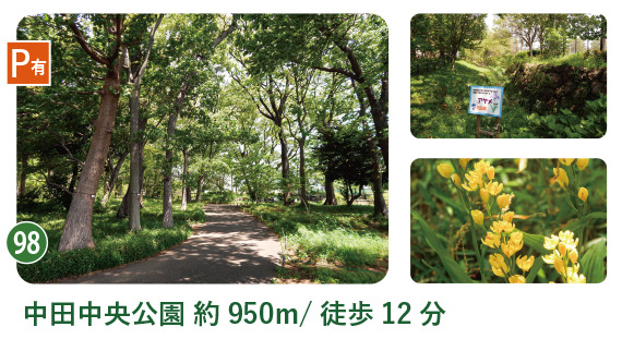 中田中央公園の「木漏れ日の森」「ホタルの里」、絶滅危惧種 キンラン