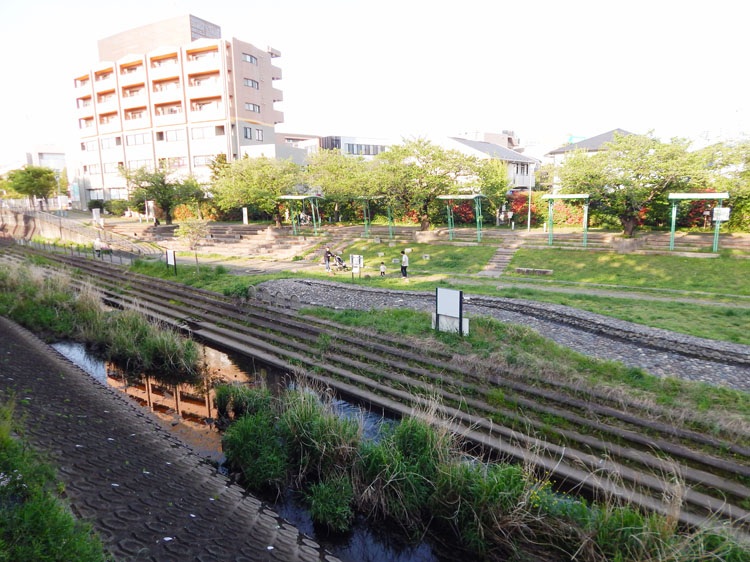相鉄いずみ野線「いずみ中央駅」横の和泉川沿い