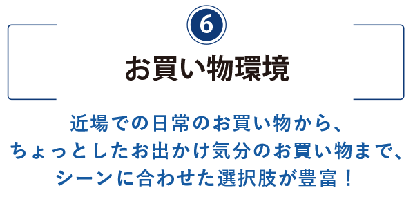6）お買い物環境のタイトル