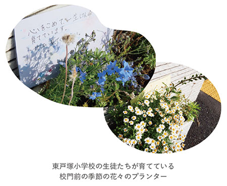 東戸塚小学校の生徒たちが育てている、校門前の季節の花々のプランター