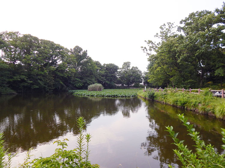 菊名池公園