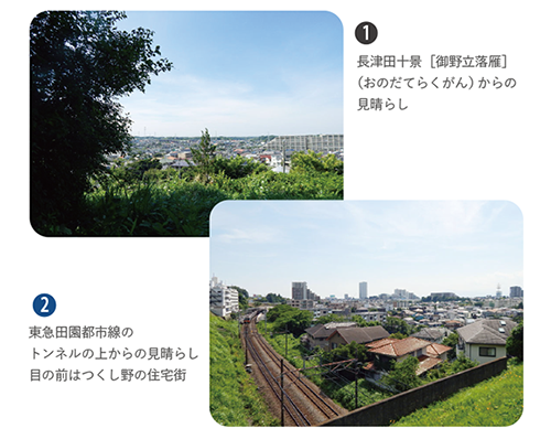 長津田十景［御野立落雁］と東急田園都市線のトンネルの上からの見晴らし